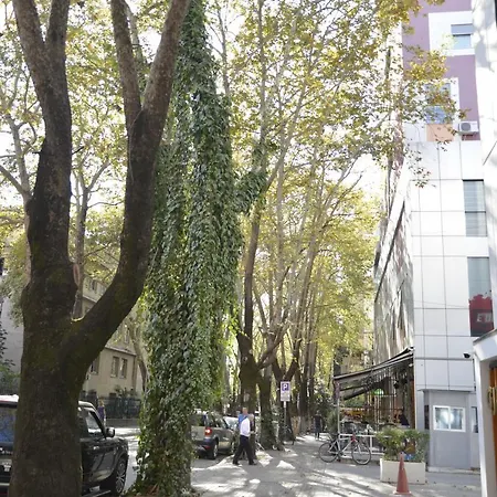 Haris No.2 Тирана