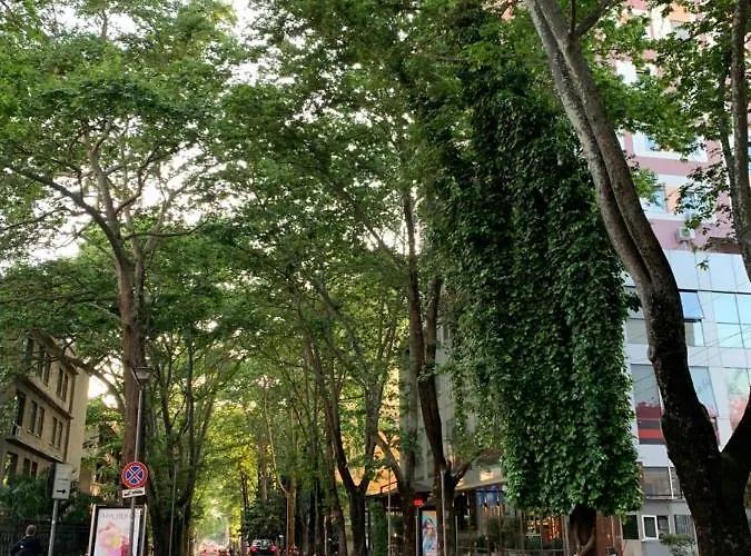 Haris No.2 טיראנה